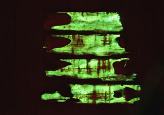 Grünes Licht: Der Hallimasch-Pilz durchdringt Holz und bringt es durch Biolumineszenz zum Leuchten. Bild: Empa