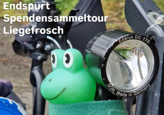 Ein kleiner grüner Frosch begleitet als Maskottchen die #Liegefrosch-Fundraisingtour, die in der kommenden Woche in Almere in den Niederlanden endet (Foto: privat)