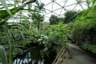 Bildquelle: papiliorama.ch