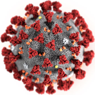 Computer-Rendering des SARS-CoV-2-Virus   •   Wikipedia / CDC / Alissa Eckert, MS; Dan Higgins, MAM / Public domain