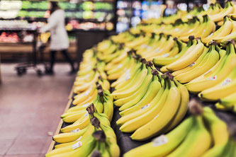 Damit Bananen auf der Ladentheke in strahlendem Gelb zum Kauf verlocken können, werden sie oft noch unreif gepflückt und verfrachtet.