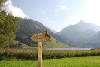 Bildquelle: schwarzsee.ch