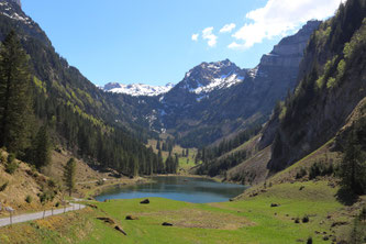 Der Talalpsee (Bildquelle: Monika Romer)