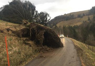 Le canton de Fribourg fortement touché par la tempête « CIARA » / Der Kanton Freiburg wurde vom Sturm «SABINE» heimgesucht © Tous droits réservés