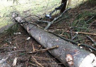 Ein Mann verletzt sich bei einem Holzfällerunfall in Charmey ©