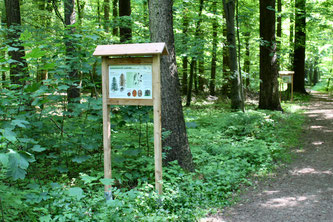 Foto: W. Pohl