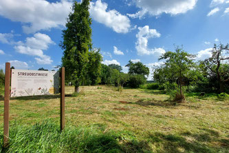 Foto: W. Pohl