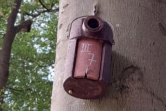 Foto: W. Pohl