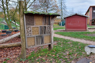 Foto: W. Pohl