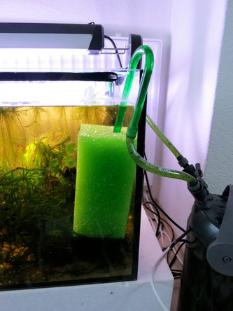 Filterpatronen schützen Jungfische, erhätlich sind solche Patronen in Shops für Teichzubehör, oder natürlich bei Ebay.