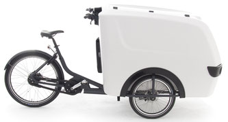 Babboe Lastenfahrrad mit Elektromotor Pro Trike-E 2020