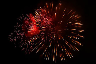 Silvester mit Katze feiern, Feuerwerk