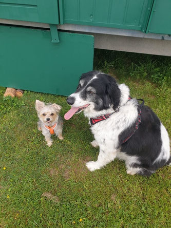 Bonny mit Freundin Lucy