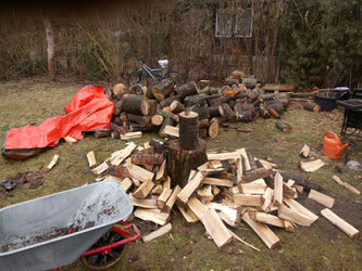 Lieblingsbeschäftigung für warme Füße: Holzhacken! Aber Buchenholz spaltet sich fast von alleine (fast)