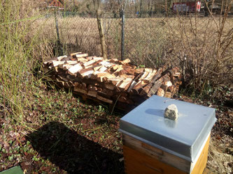 Nun haben auch die Bienen ein bisschen Holz vor der Hütte