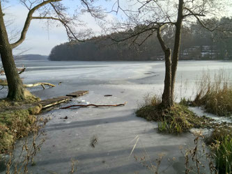 Wir haben schon einmal die Umgebung erkundet. Am Liepnitzsee sind dann viele Erinnerungen aus den Kinder- und Jugendtagen hochgekommen.