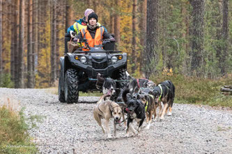 Schlittenhunderennen in Finnland