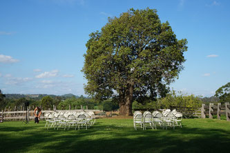 Hochzeit im Grünen