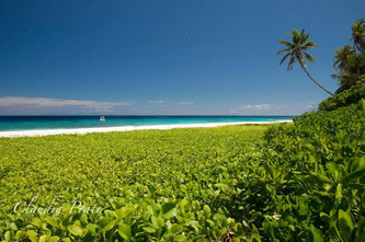 spiagge Seychelles isola Aride 
