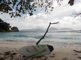 Spider Bomb am Anse Severe