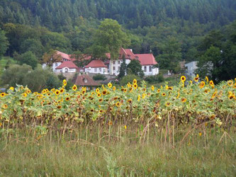 Kartause, copyright: Nils Kickert