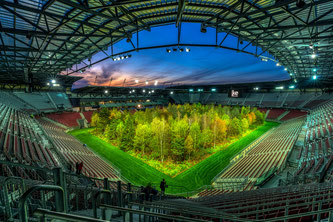 Das Projekt "Forforest" im Klagenfurter Wörtherseestadion Foto: (c) Pixabay
