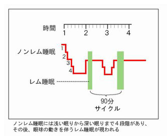 ノンレム睡眠４つのステージ