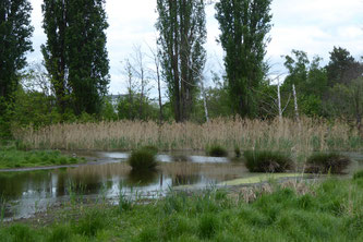 Finkensee, Foto: ©KBenedickt