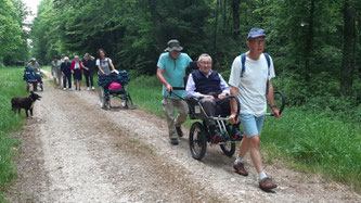 Joëlettes et marcheurs en forêt de la Fouée