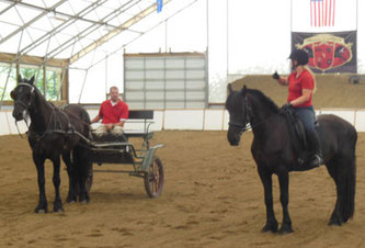 We learned a lot about Show Horses during our Visit