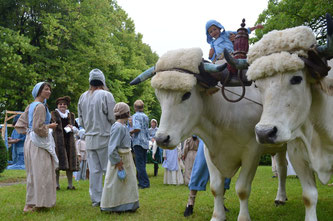 1ère Fête de l'Or Bleu - Photo : Marc Garrigou
