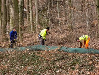 Auch am Waldkater werden wieder Amphibien gesammelt. - Foto: NABU