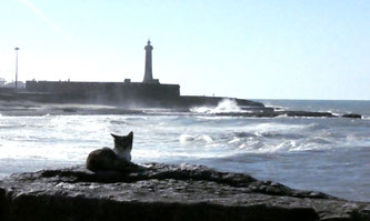 der Leuchtturm von Rabat...