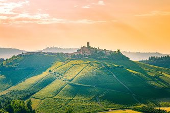 Mit Hauser Exkursionen in den Norden Italiens – die Wanderrouten bieten weite Blicke über piemontesische Weinanbaugebiete. Bildnachweis: ronnybas/Shutterstock.com