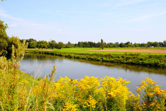 Dübener Heide - Mulde - Foto: Andreas Schmidt