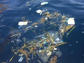 Der schwimmende Plastikmüll vor den Balearen ist in diesem Jahr besonders schlimm. Foto: Daphne Tieleman