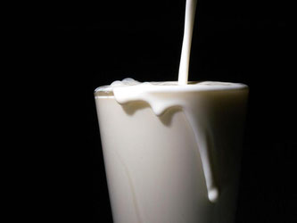 Ein Überangebot an Milch auf den europäischen Märkten gilt als zentrale Ursache für die seit Monaten existenzbedrohend niedrigen Preise. Foto: Sebastian Gollnow