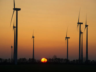 Windräder in Mecklenburg-Vorpommern: Die Ökostrom-Umlage steigt im nächsten Jahr auf die Rekordhöhe von 6,354 Cent pro Kilowattstunde. Foto: Stefan Sauer/Archiv