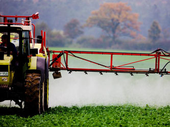 Glyphosat ist weit verbreitet und steht im Verdacht, krebserregend zu sein. Foto: Patrick Pleul/Archiv