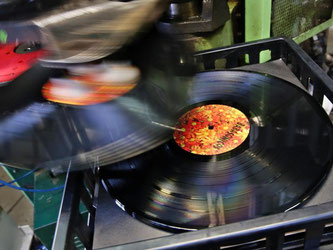 Schallplattenfreunde sind auch unter jungen Leuten zu finden. Foto: Jan Woitas