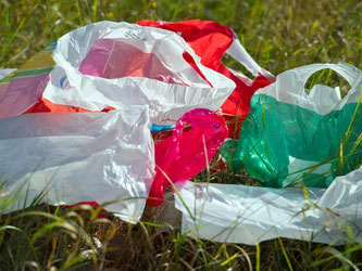 Weggeworfene Plastiktüten sind keine Augenweide. Foto: Patrick Pleul