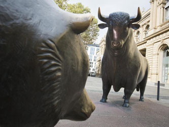 Bulle und Bär: Auch Börsen-Einsteiger können unter Berücksichtigung einiger Tipps ihr Geld an der Börse vermehren. Foto: Frank Rumpenhorst