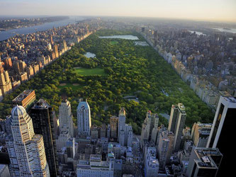 New York zählt mit seinem Central Park weiterhin zu den beliebtesten Reisezielen der USA. Foto: Tui