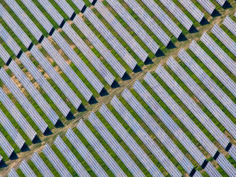 Solarzellen auf einem Feld in Brandenburg: Kaum eine Branche in Deutschland ist den vergangenen Jahren so rasant abgestürzt wie die Solarindustrie. Foto: Ole Spata/Archiv