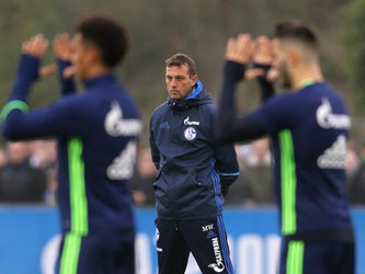 Schalke-Coach Markus Weinzierl setzte ein öffentliches Mannschaftstraining vor dem Derby an. Foto: Ina Fassbender