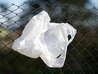 Die millionenfach weggeworfene Plastiktüte gilt als großes Umweltproblem. Foto: Patrick Pleul/Archiv