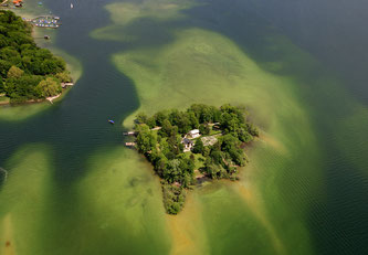 Luftaufnahme der Roseninsel  (Foto: Bayerische Schlösserverwaltung)