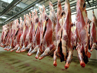 Deutsche Schlachthöfe haben im ersten Halbjahr 4,07 Millionen Tonnen Fleisch zerlegt. Foto: Bernd Wüstneck