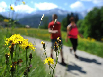 Wanderungen im Grünen bieten einen willkommenen Ausgleich zum Alltag. Foto: Angelika Warmuth