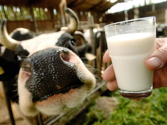 Die EU-Kommission hat Sofortmaßnahmen für notleidende Milchbauern vorgeschlagen - doch die Bauern fordern eine Verdopplung. Foto: Bernd Schoelzchen/Archiv